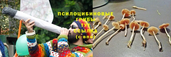 мескалин Бронницы