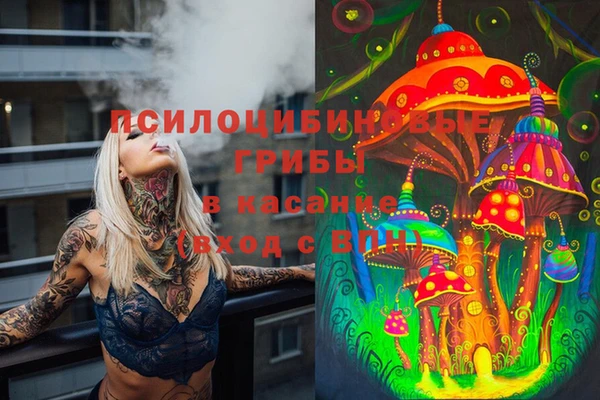 героин Бородино