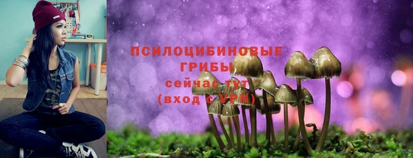 мескалин Бронницы