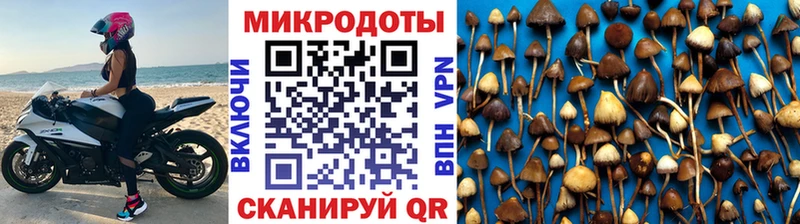 где купить   даркнет Telegram  Псилоцибиновые грибы MAGIC MUSHROOMS  Нестеровская 
